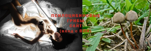 a pvp Заводоуковск