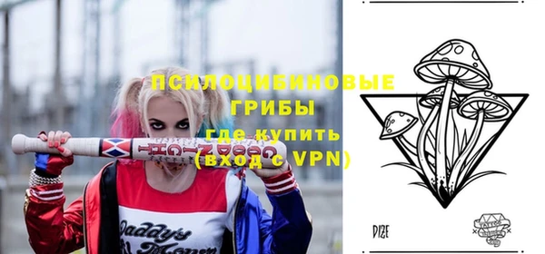 a pvp Заводоуковск